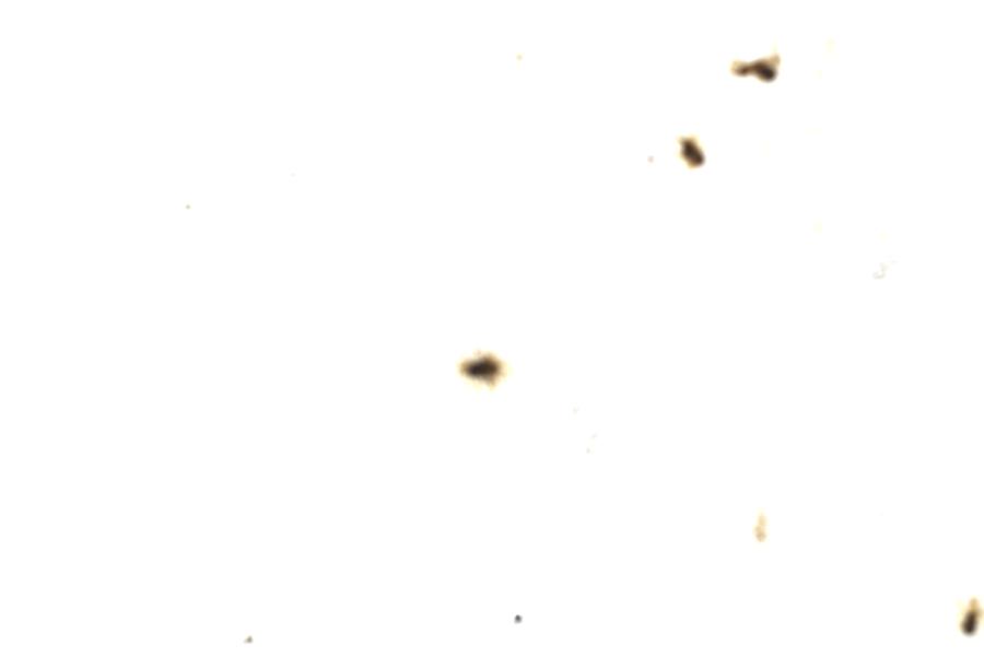 Image 120